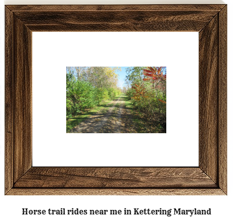 horse trail rides near me in Kettering, Maryland